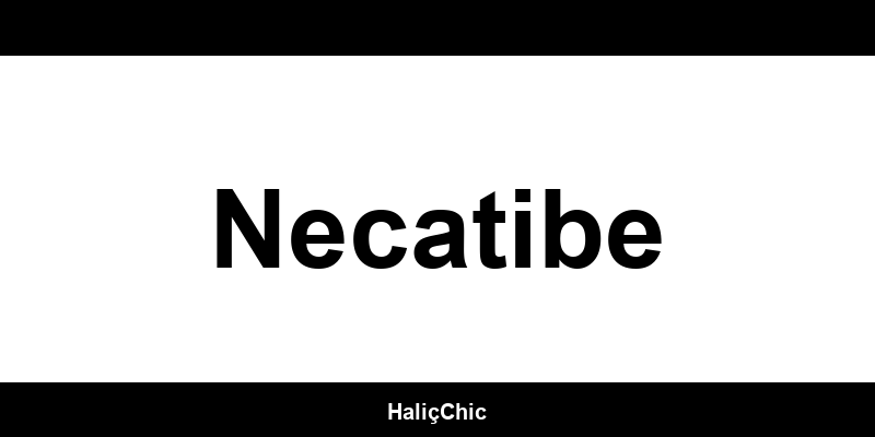 DeFacto outlet Necatibe mağazaları ve iletişim